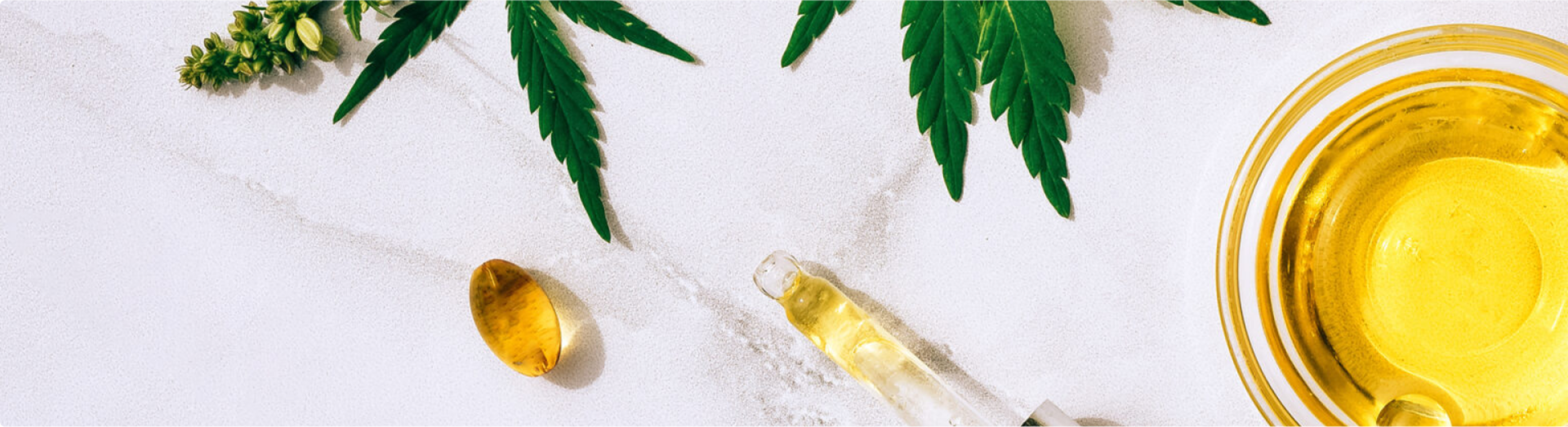 where-is-canabis-legal-banner