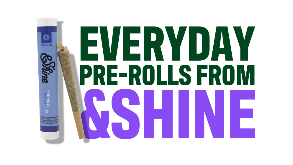 Guide to Pre-rolls_CTA-03_C-11-VariantB-Desktop_V001.webp