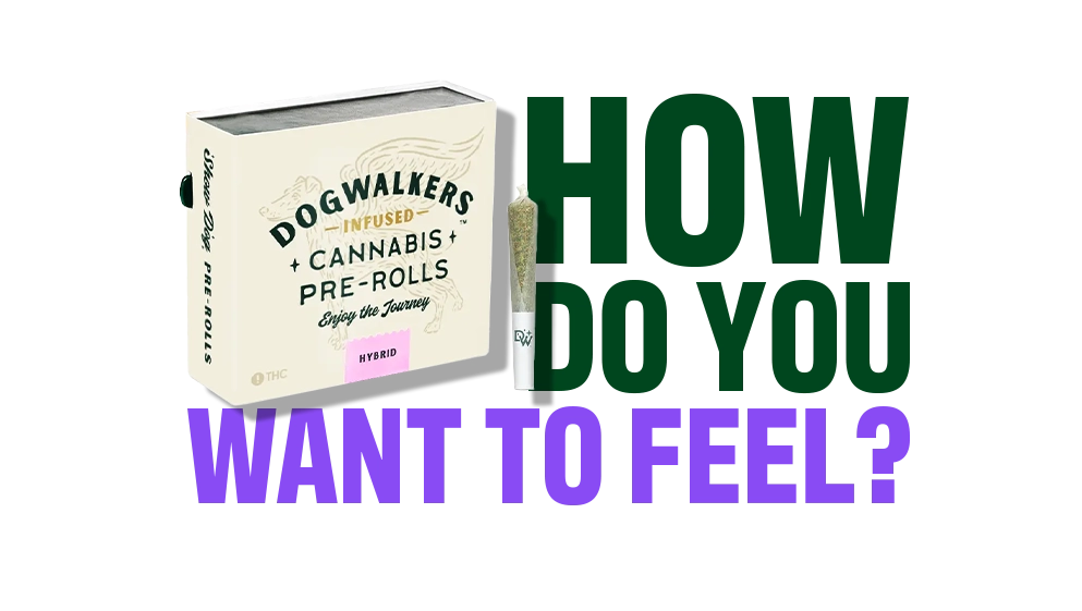 Dogwalkers cannabis pre-roll