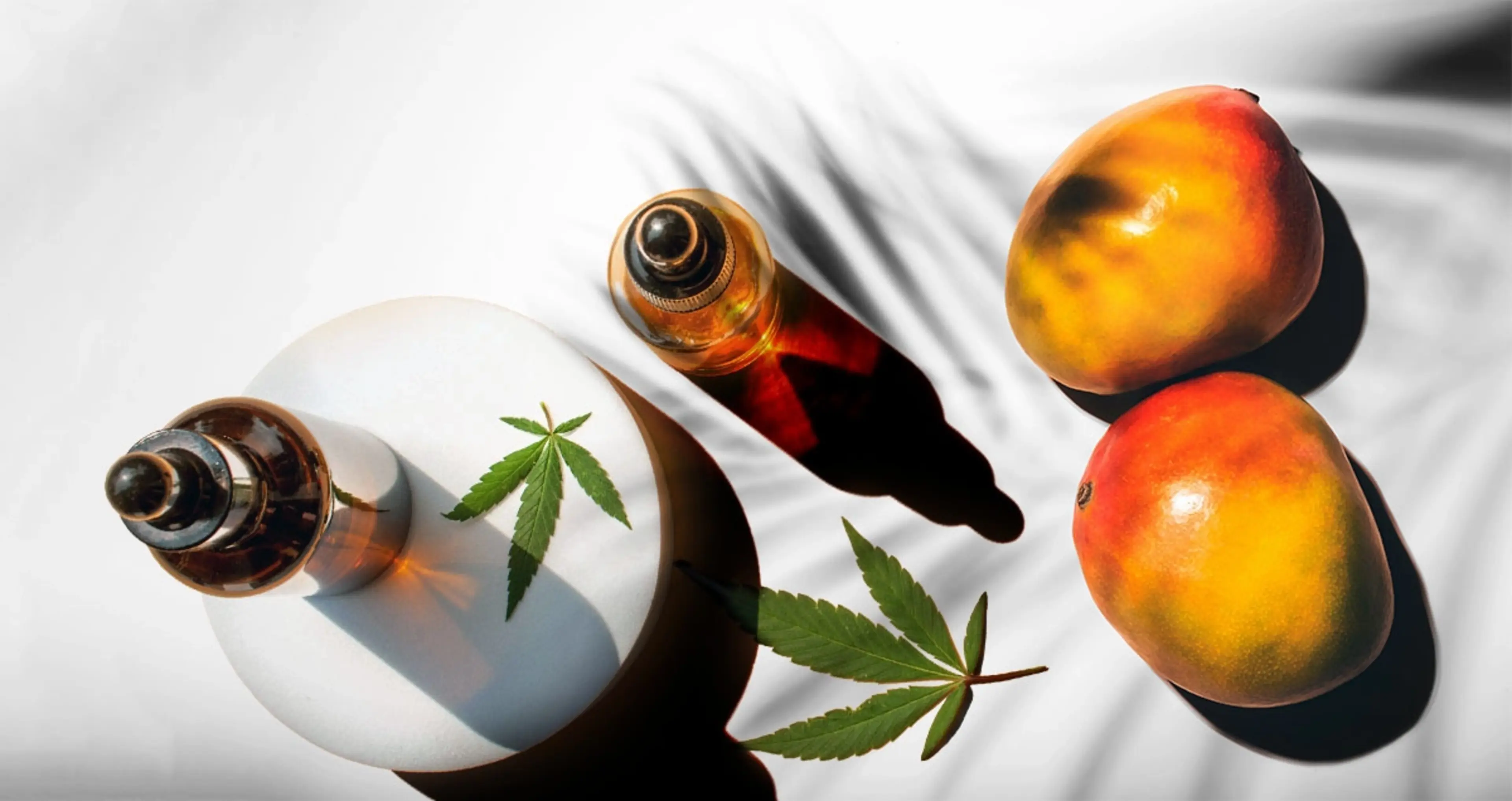 TERPENES Myrcene V002 1200x636 V003