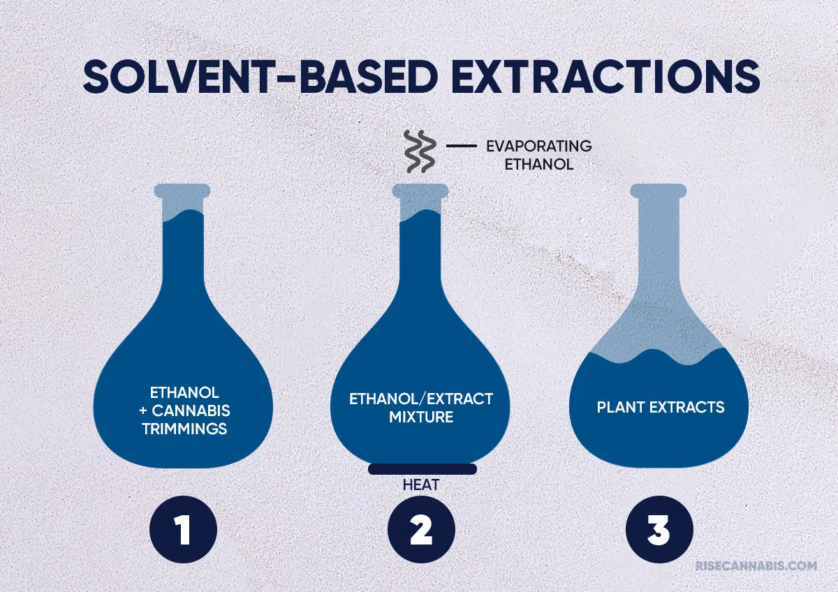 Different Types of Cannabis Extraction Methods | Rise Dispensaries