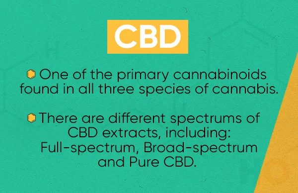 what-is-CBD-1
