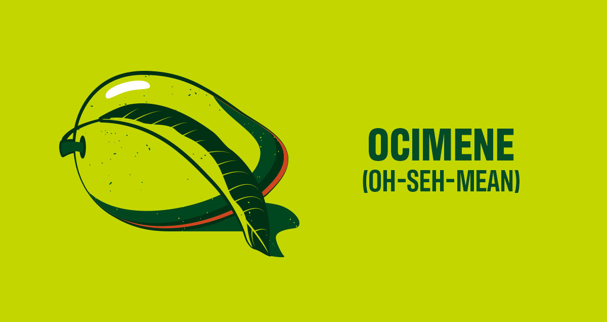 Ocimene