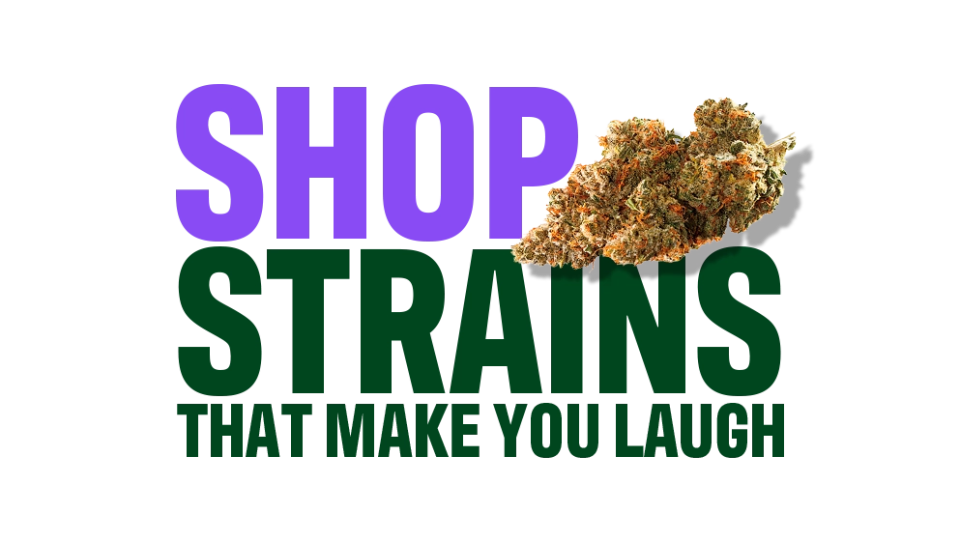 Strains that Make You Laugh (update) CTA-01 C-11-VariantB-Desktop V001 (1)