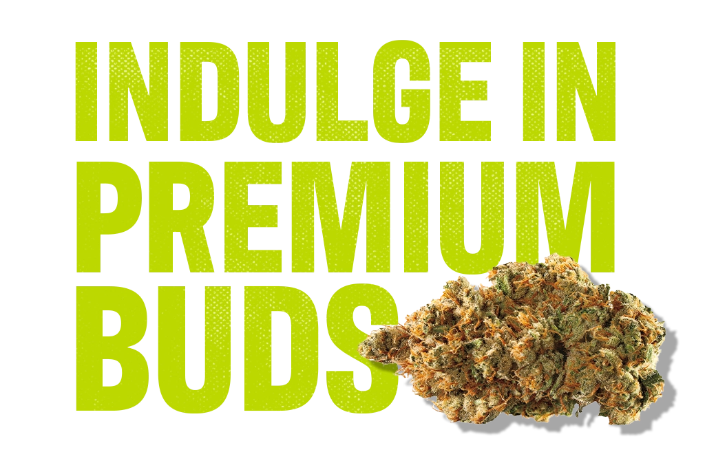 Bud vs. Shake vs. Popcorn_Buds_C-11-VariantB-Desktop_V001.webp