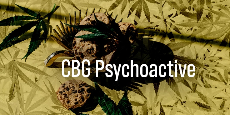 What Is CBG (Cannabigerol) 053124 BILL 736x368 V001