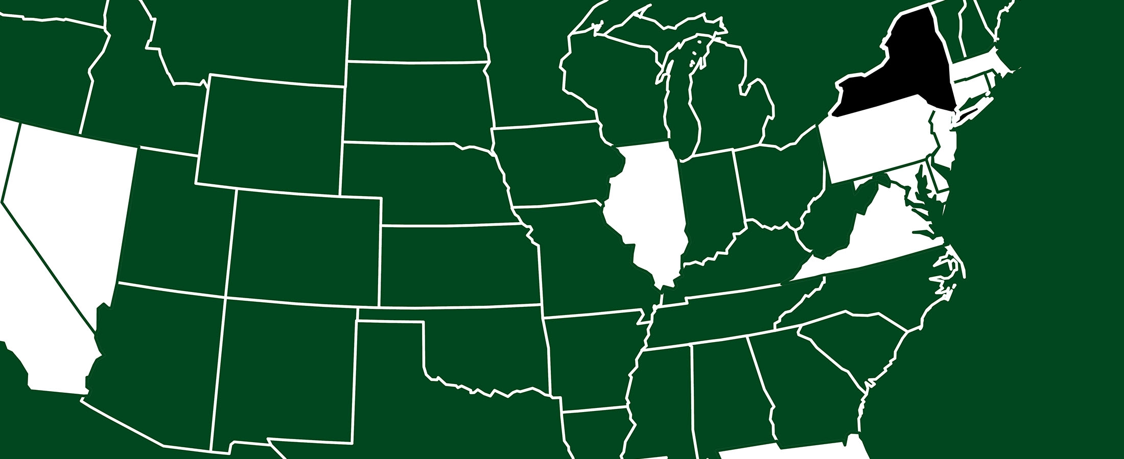 New York Cannabis Favorites 