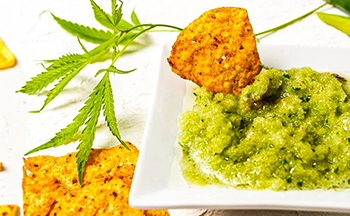 Terpene Tasting_071524_C09_Mobile.webp