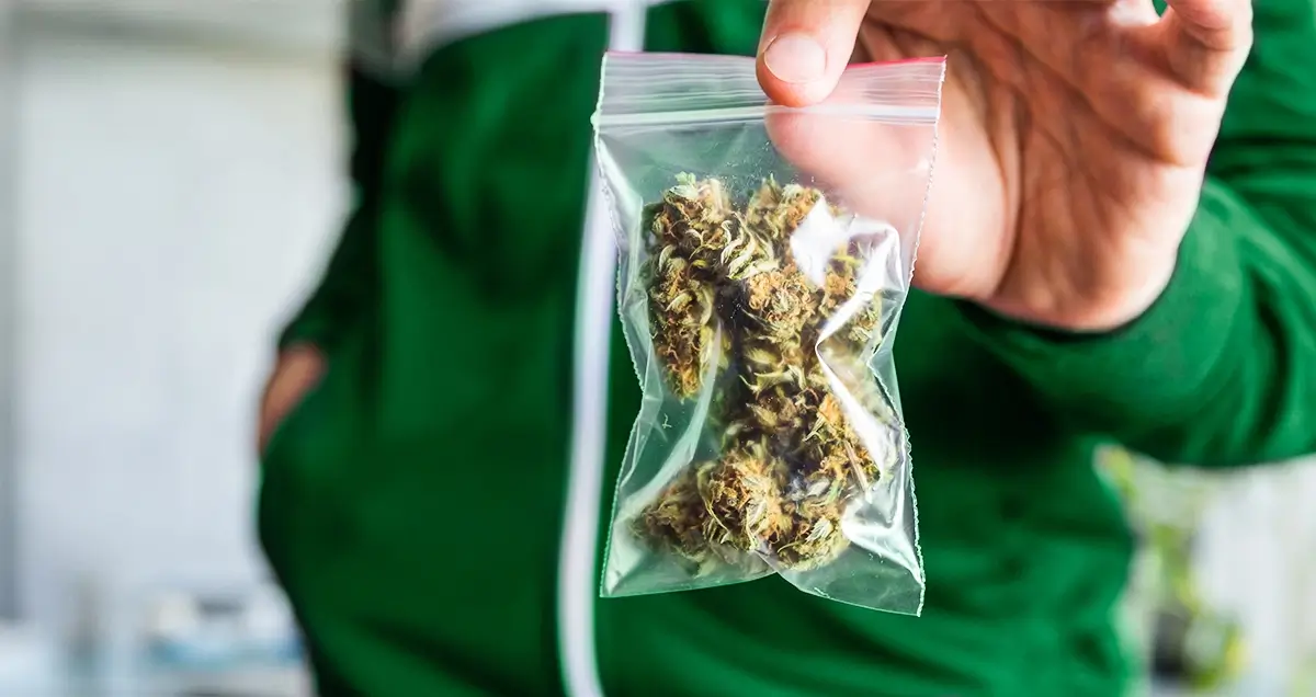 Marijuana Plastic storage