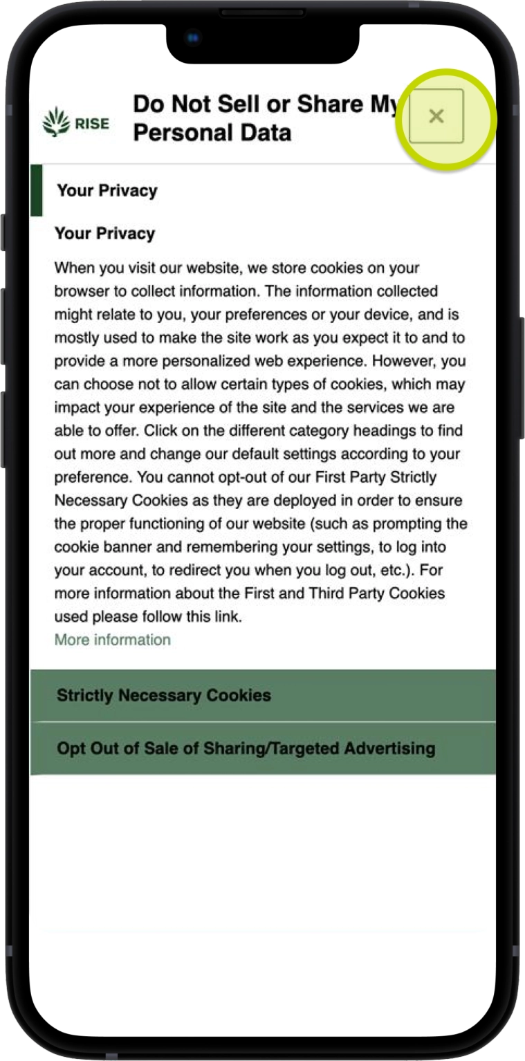 RISE-article shopping-process 002