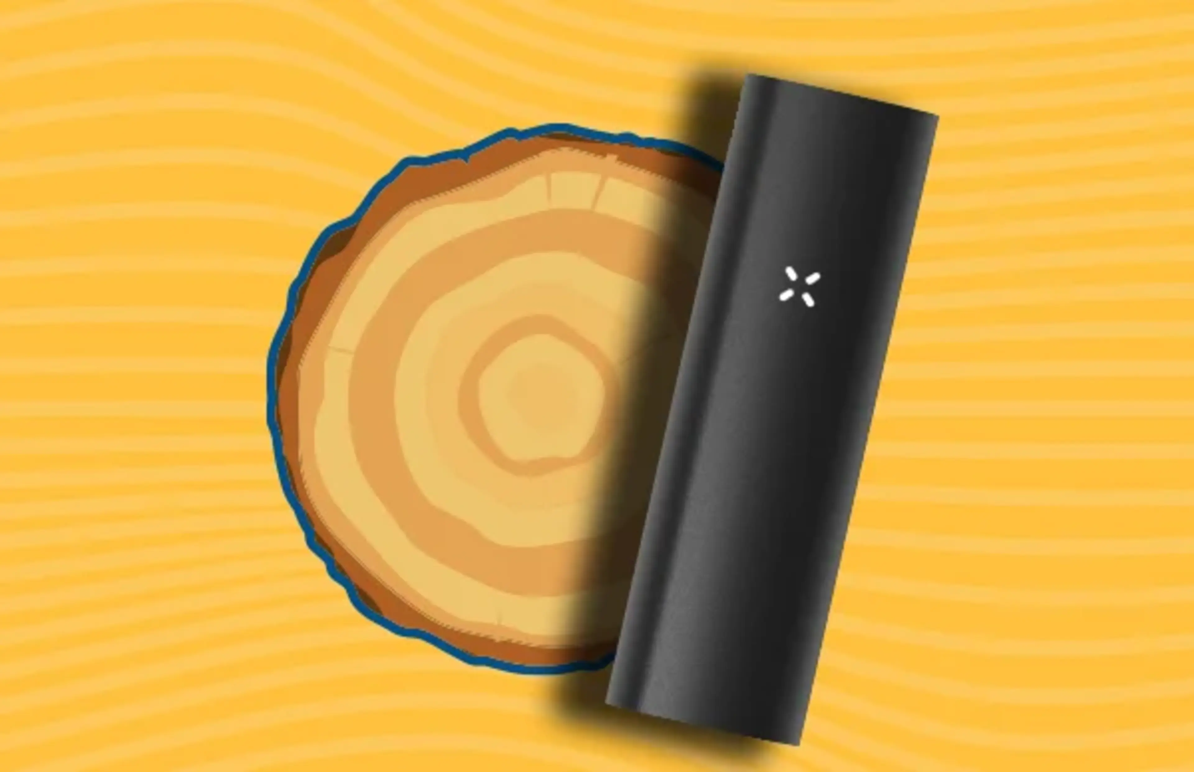What do dab pens smell like? | RISE Cannabis Dispensaries What do dab pens smell like? | RISE Cannabis Dispensaries