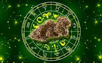 Horoscope - What your Zodiac Sign_070324_CF_350x216.webp