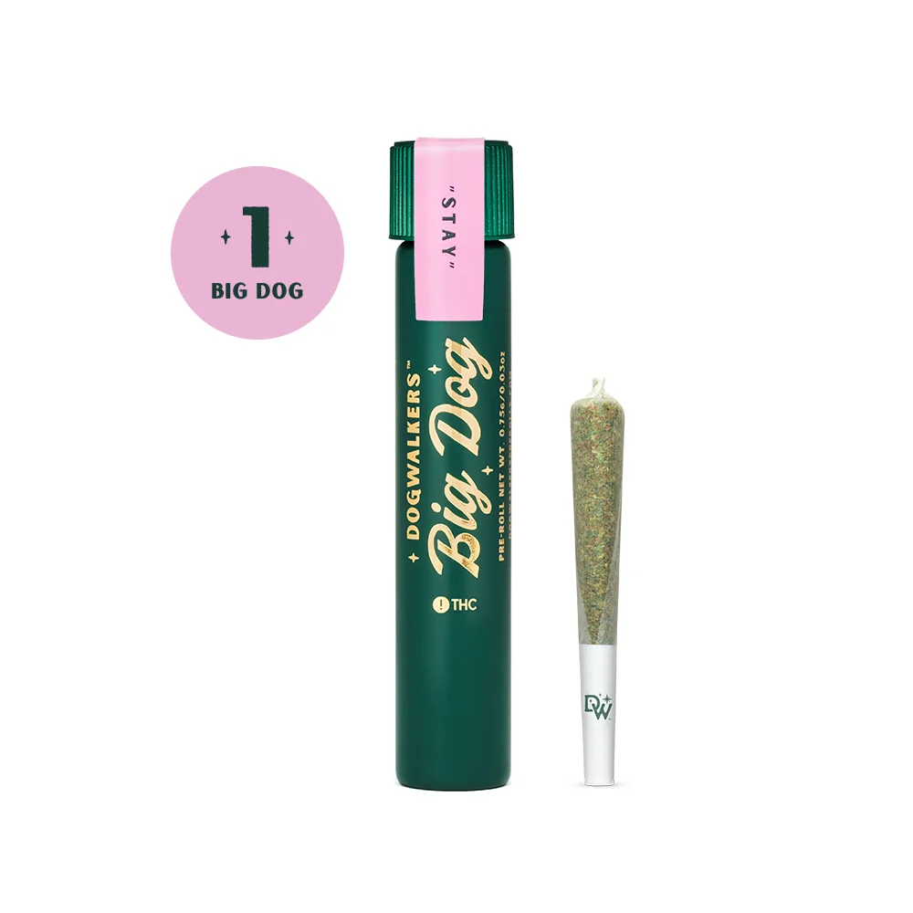 DogWalkers-BigDog-HYBRID-Stay-0-75g-PreRoll-Img1