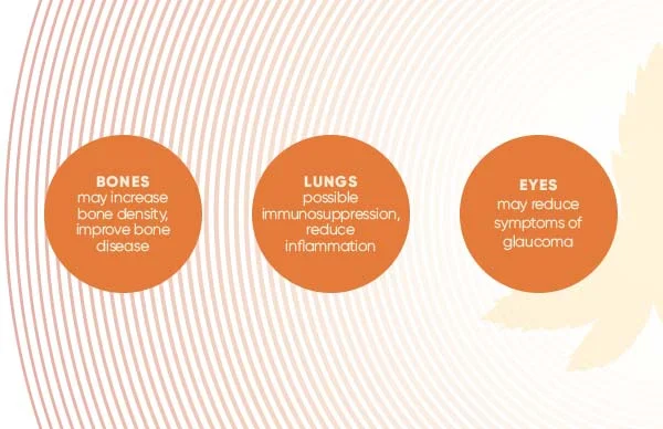 What is CBD used for?