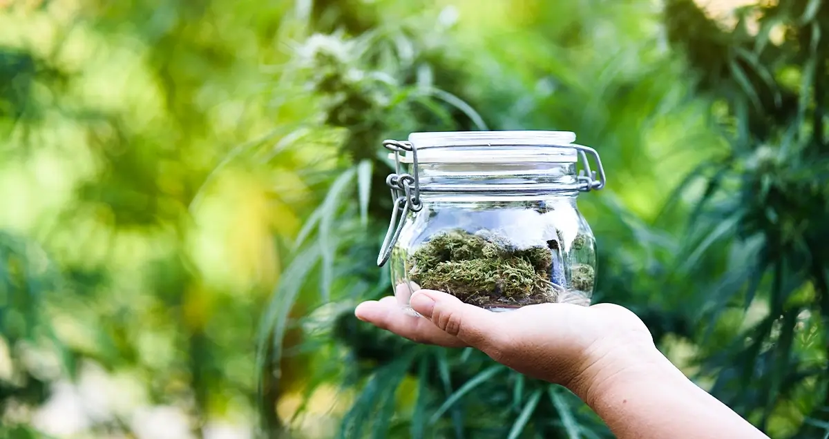 The Best Containers for Storing Cannabis-Glass Storage