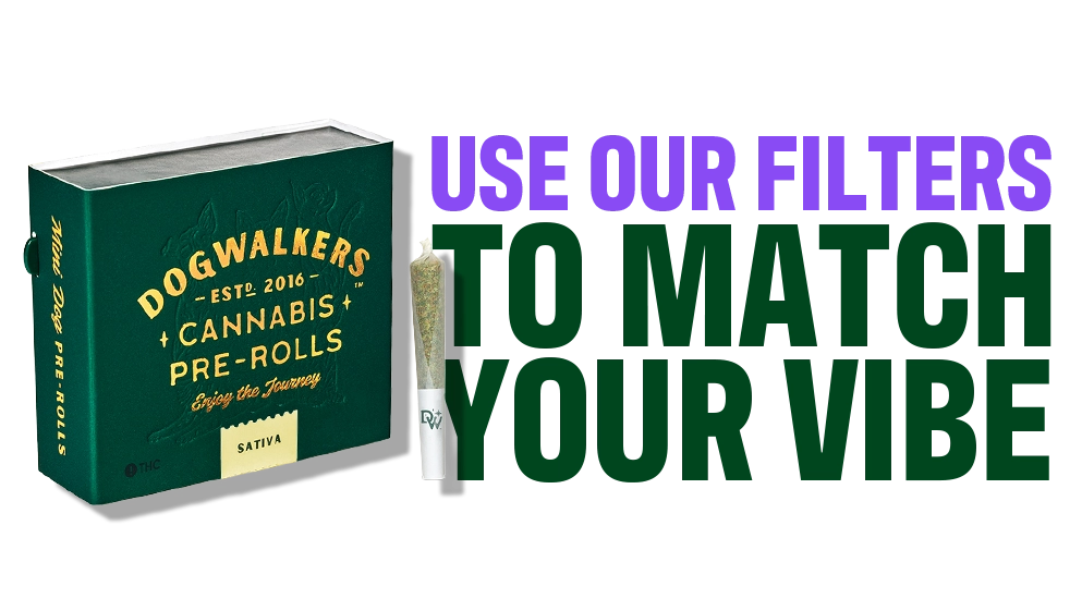Top Cannabis Products for Busy Professionals CTA 03 C-11-VariantB-Desktop V001