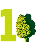 step_1_image.png