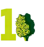 step_1_image.png