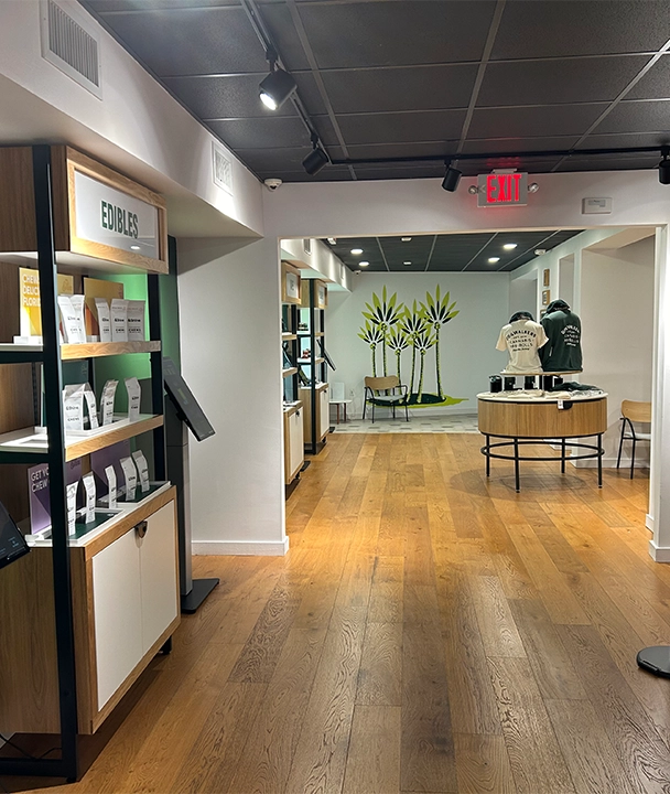 Rise Medical Marijuana Dispensary Hallandale Beach