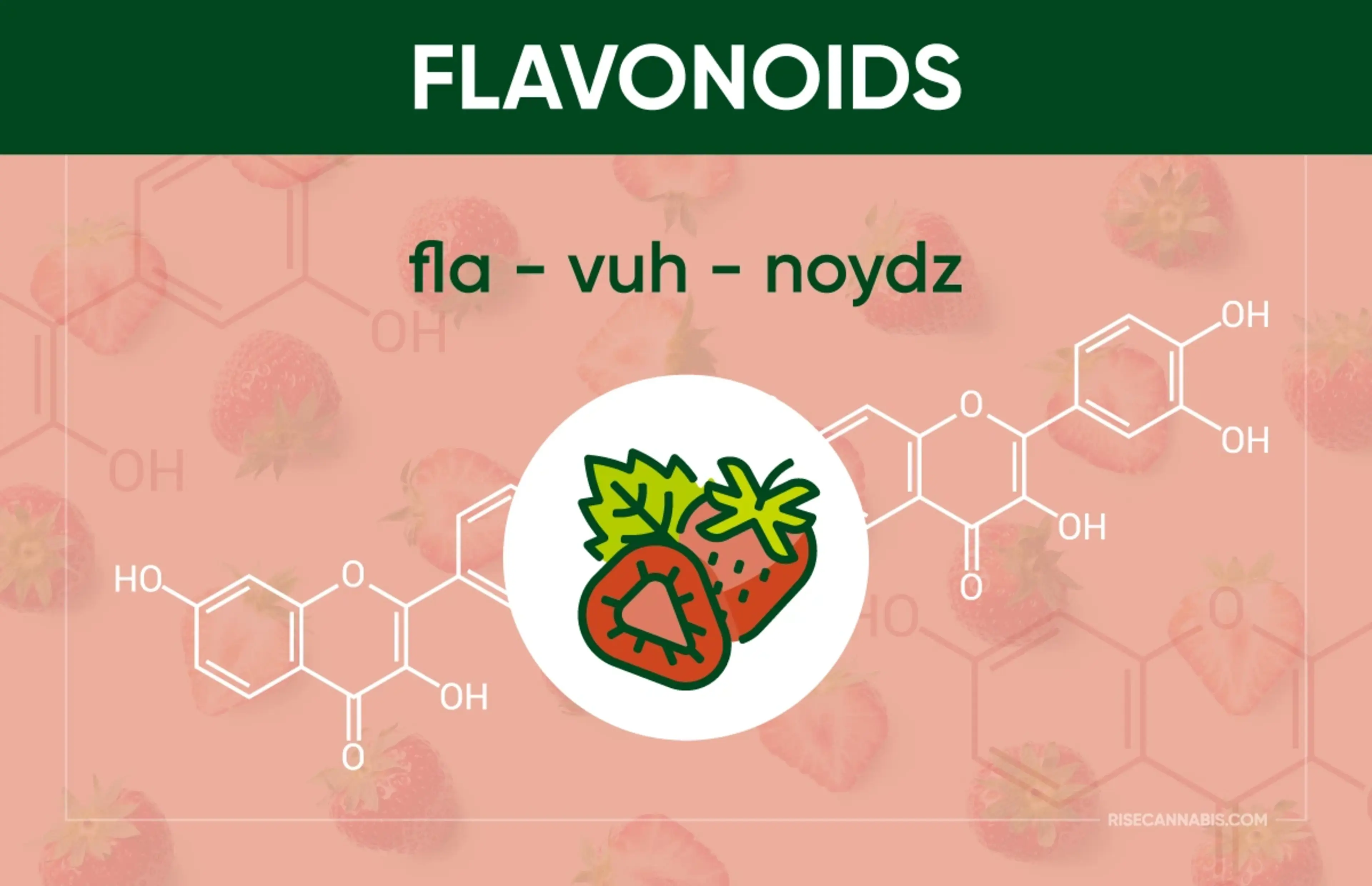 What are flavonoids?