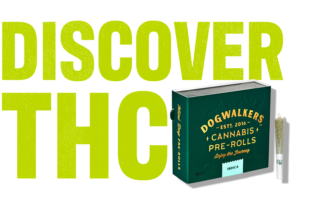 CTA_1-Dogwalkers Highlight-Desktop.webp