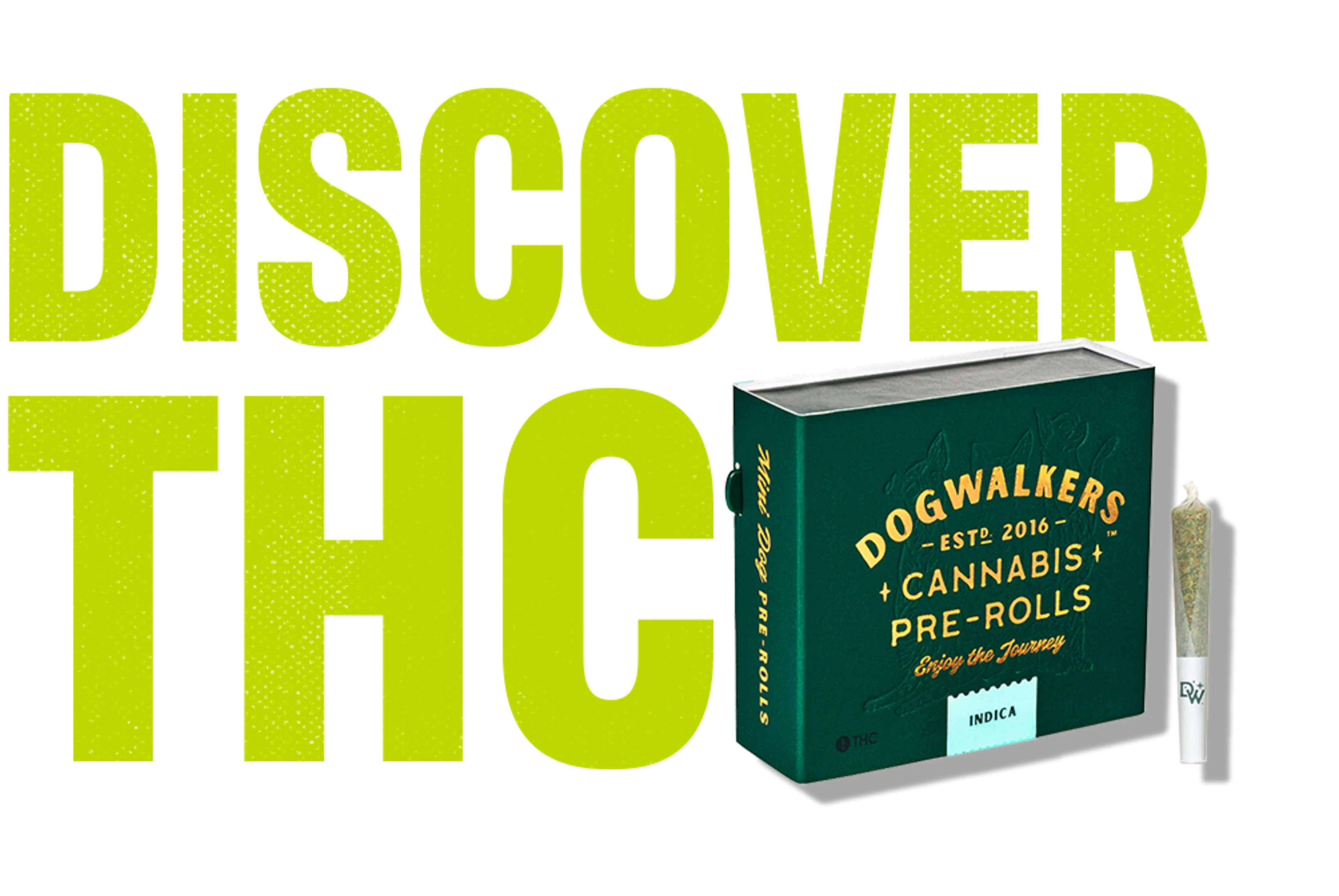 CTA_1-Dogwalkers Highlight-Desktop.webp