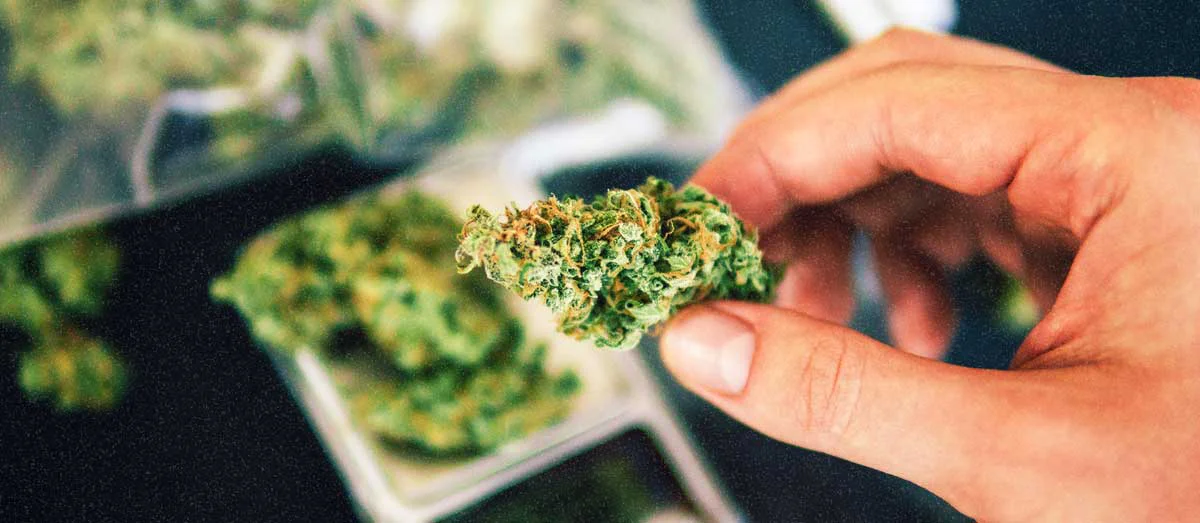 Marijuana Measurements: How Many Grams Are in an Ounce of Cannabis?