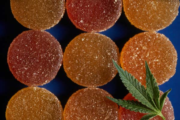 Indica vs. Sativa vs. Hybrid
