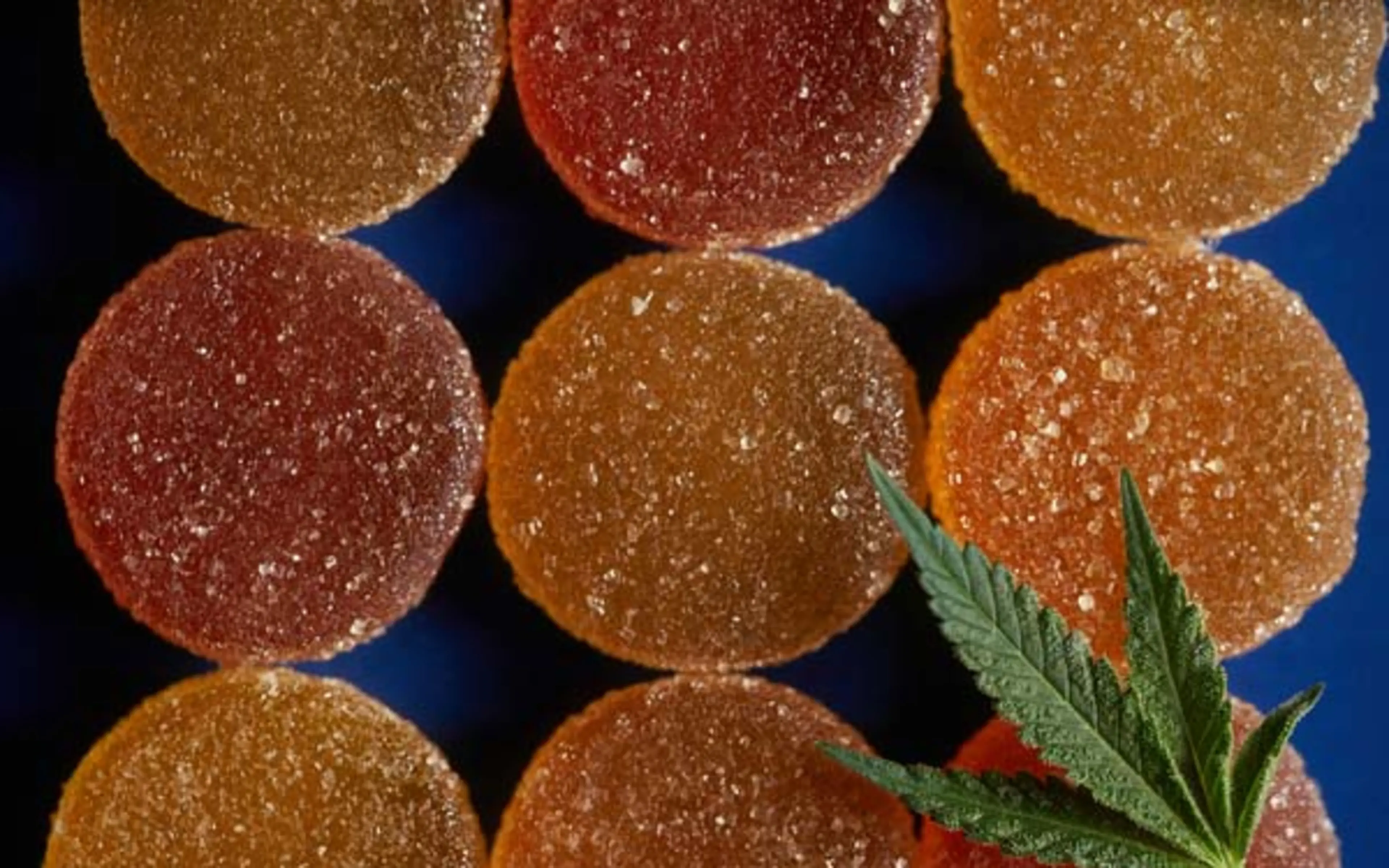 Indica vs. Sativa vs. Hybrid