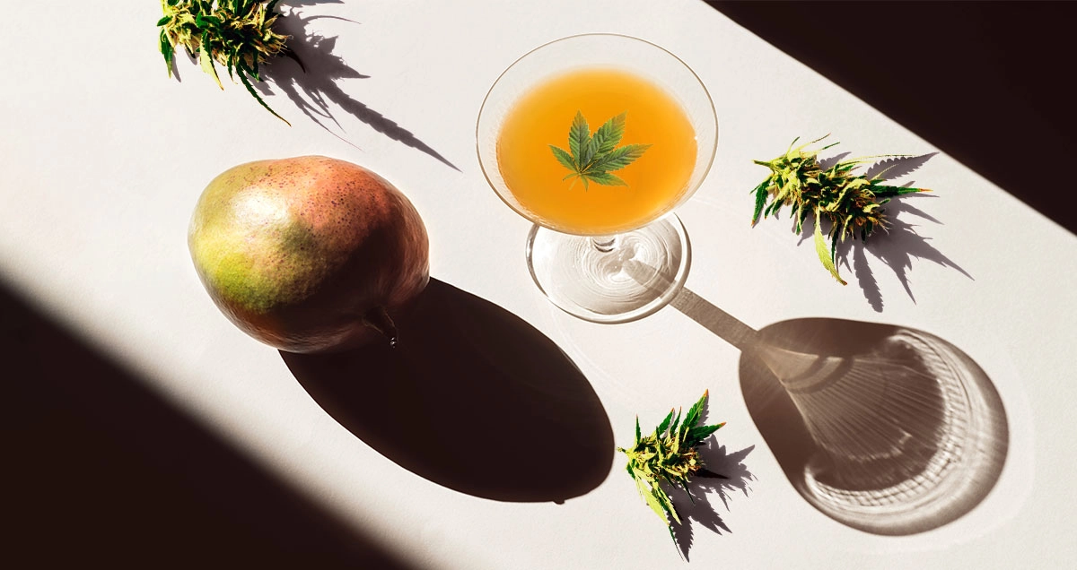 TERPENES_Myrcene_1200x636_V001