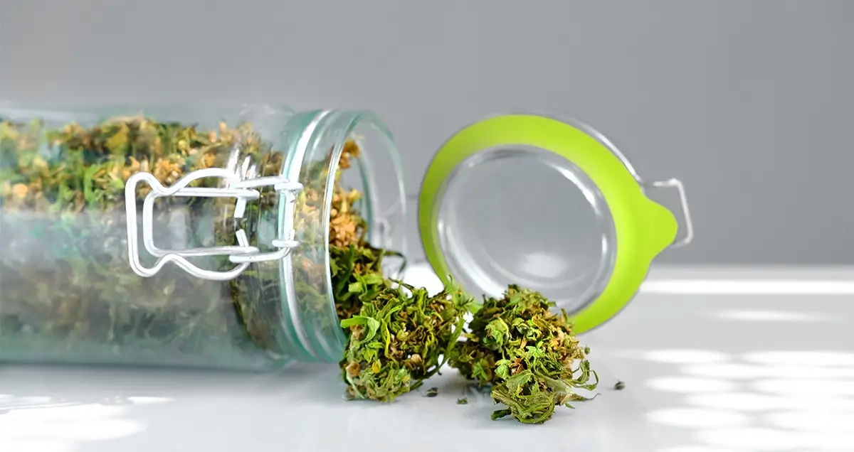 Marijuana flower storage