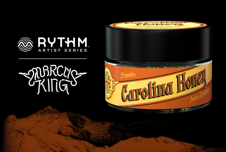 RYT-AS-MKing-HP-HERO-DESKTOP-732x491