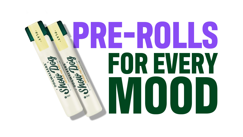 Guide to Pre-rolls_CTA-05_C-11-VariantB-Desktop_V002.webp
