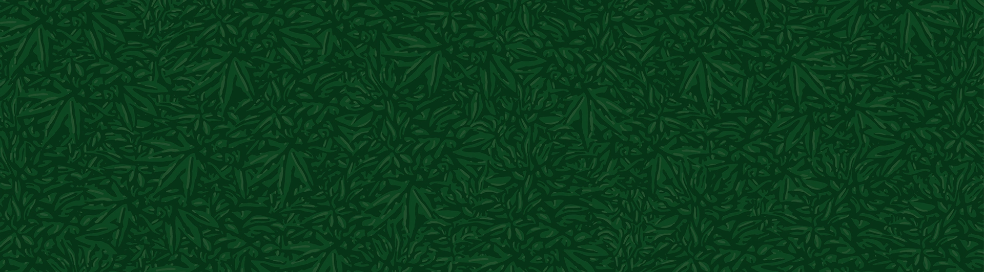 Meet RISE Dispensaries' Cannabis Pharmacists RISE Dispensaries