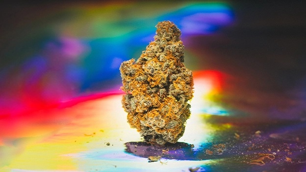 how-to-boost-creativity-and-productivity-with-cannabis 