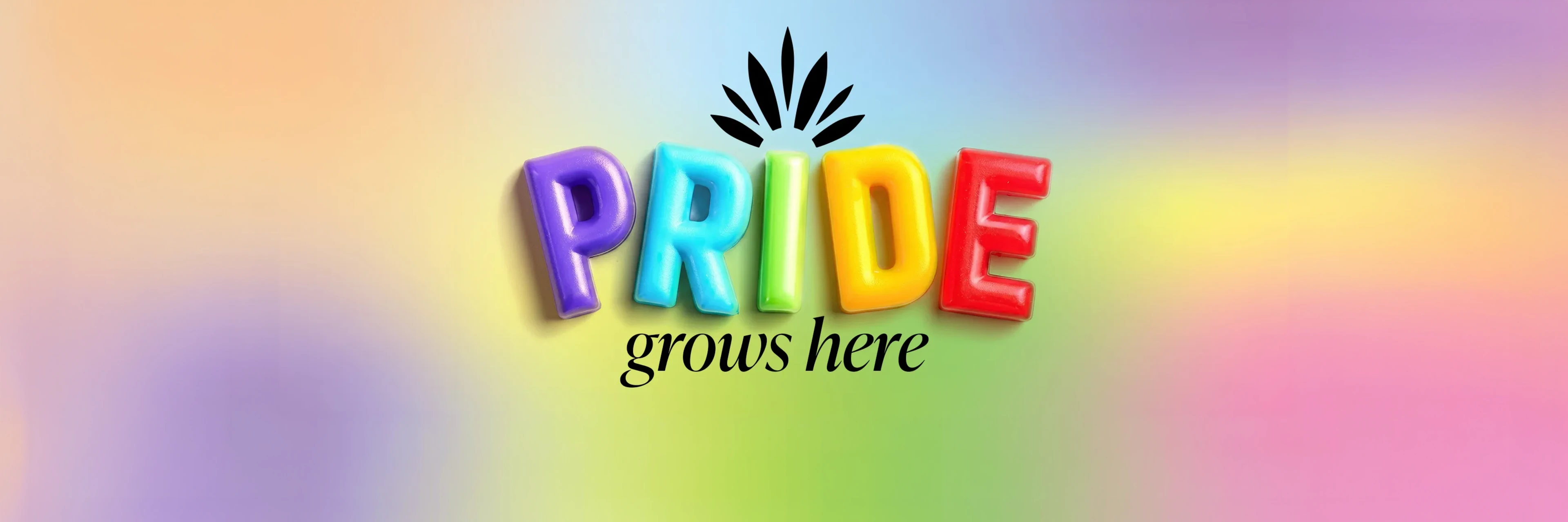 PRIDE-2026-C07-HEROARTICLE-DESKTOP - TEST