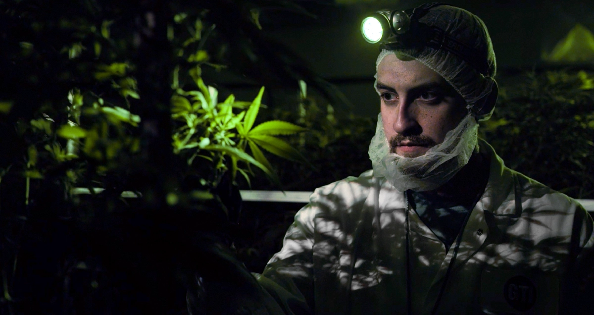 cultivation-training-program