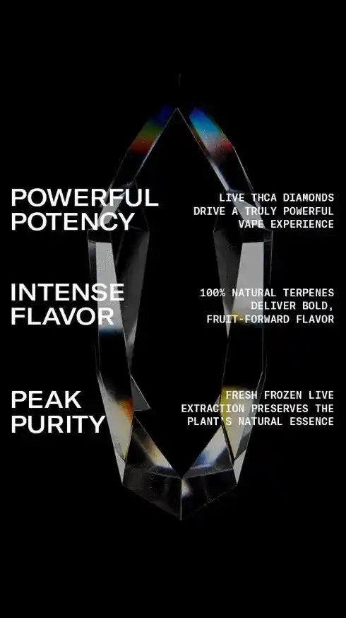 RYT-LDV-BILL 2-Wave 2-490x874-Animated