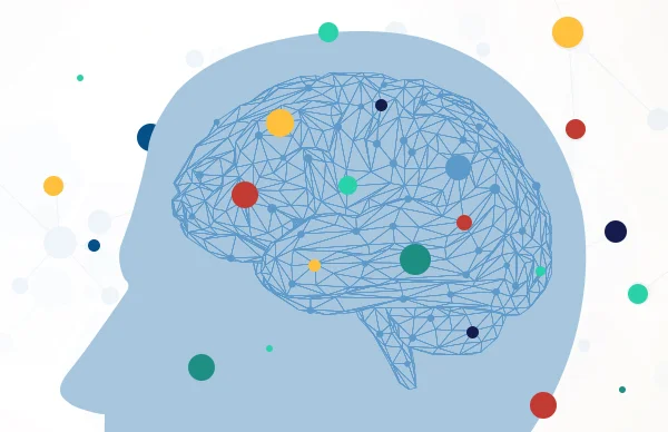 Endocannabinoid-brain