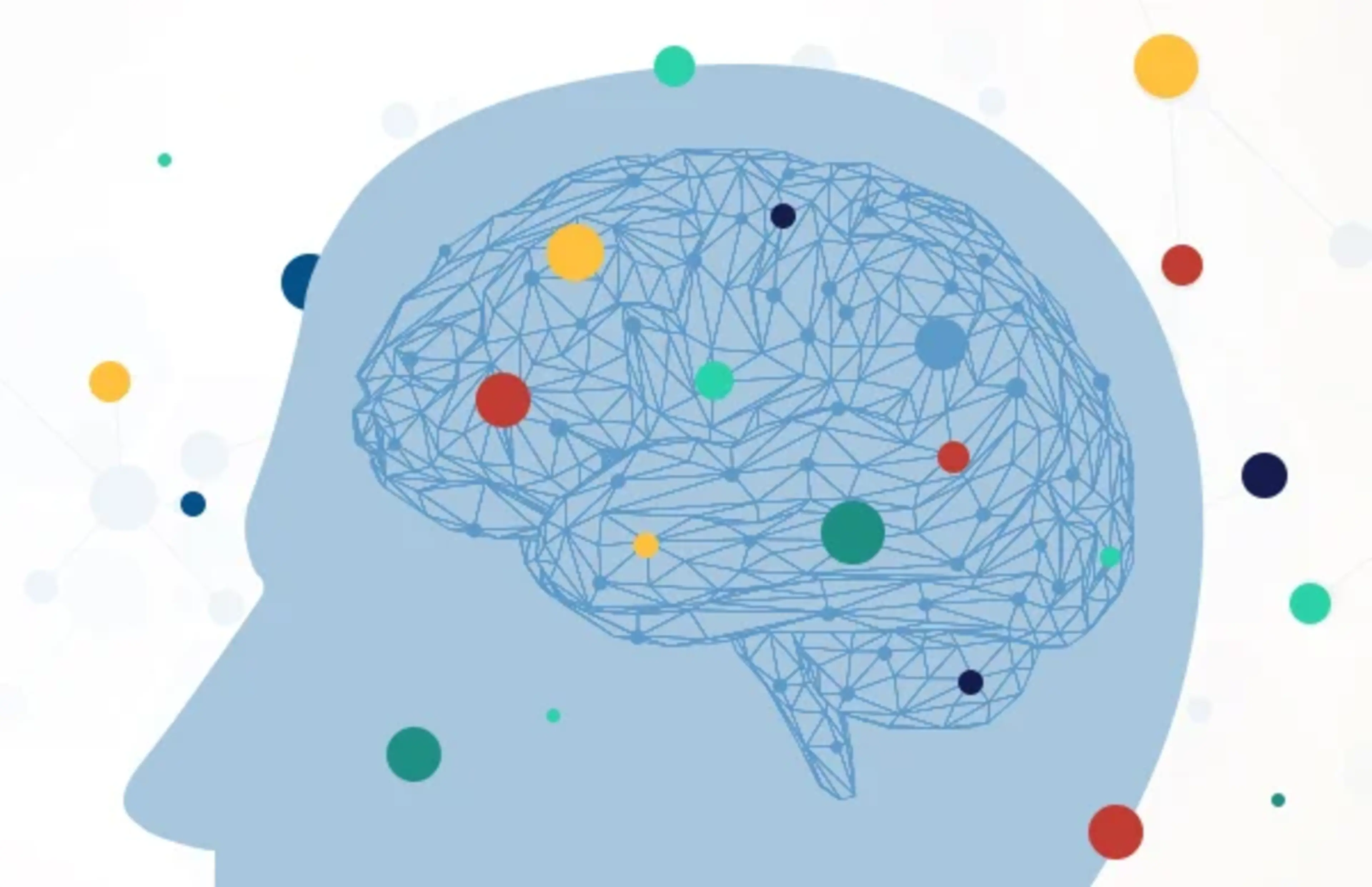 Endocannabinoid-brain