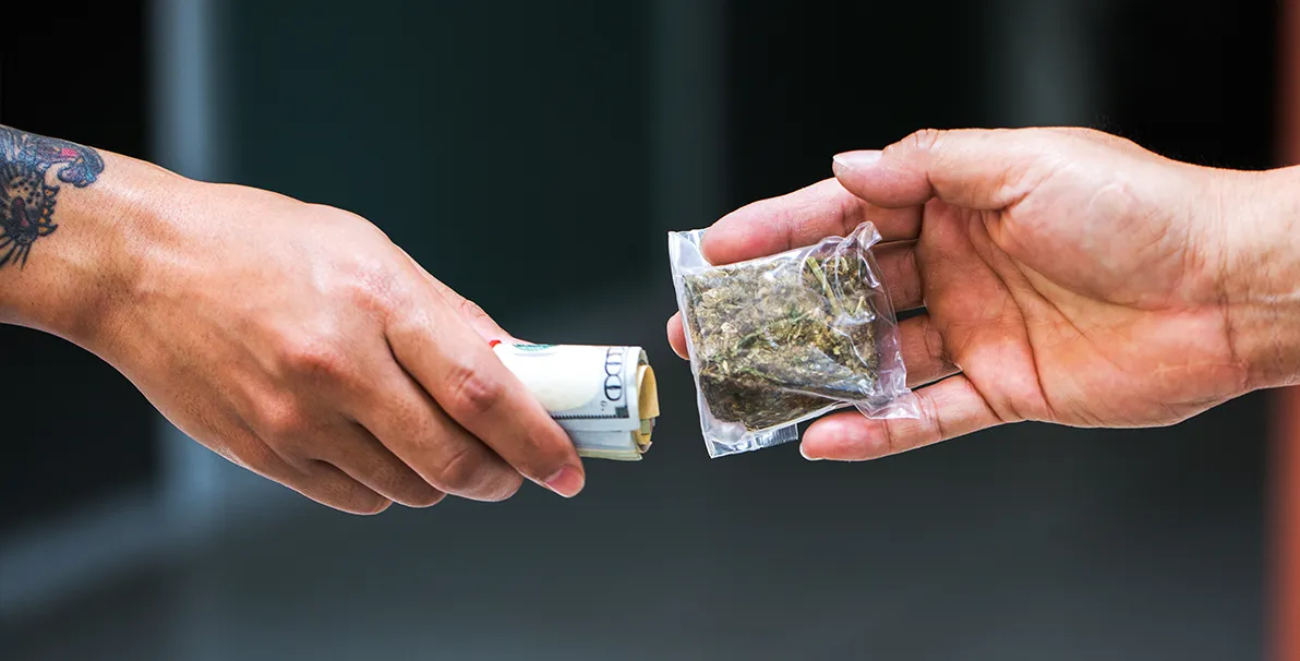 Cultivation-GTI Premium vs Blackmarket Cannabis