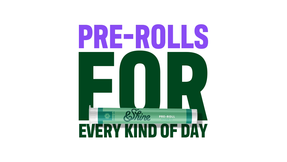 Guide to Pre-rolls_CTA-06_C-11-VariantB-Desktop_V002.webp