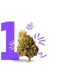 step 1 image 2026 150x160 step 1 image 2026 150x160