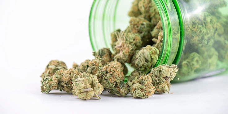 What Are Popcorn Buds? 