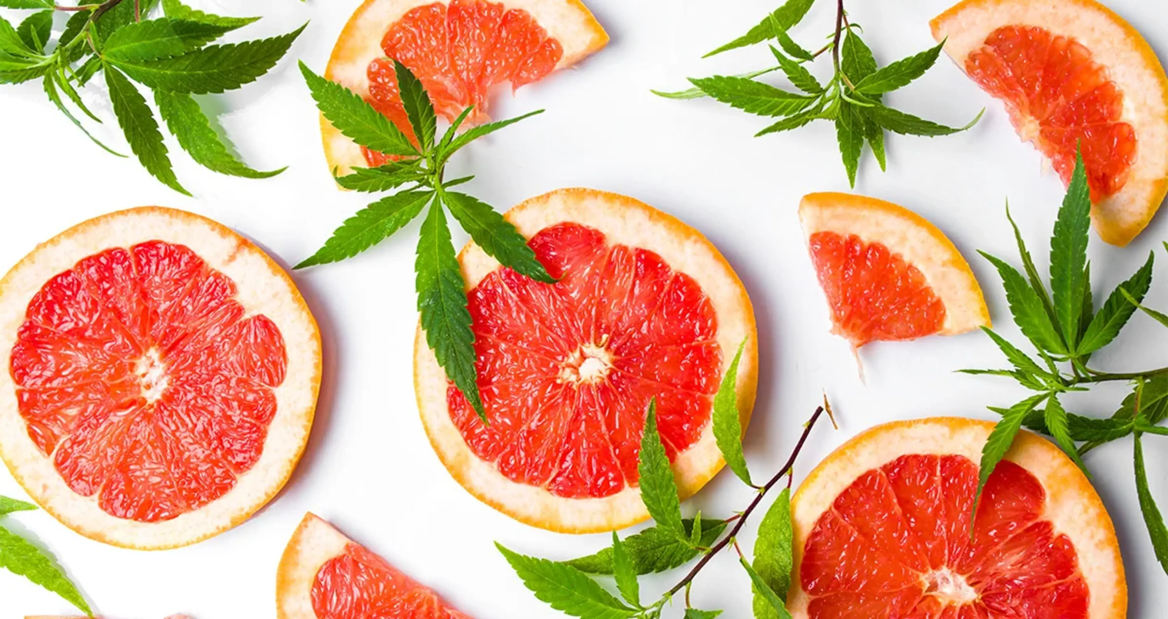 TERPENES Limonene 1200x636 V002 (1)