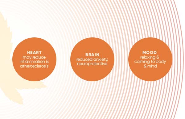 Choose the right CBD product for you