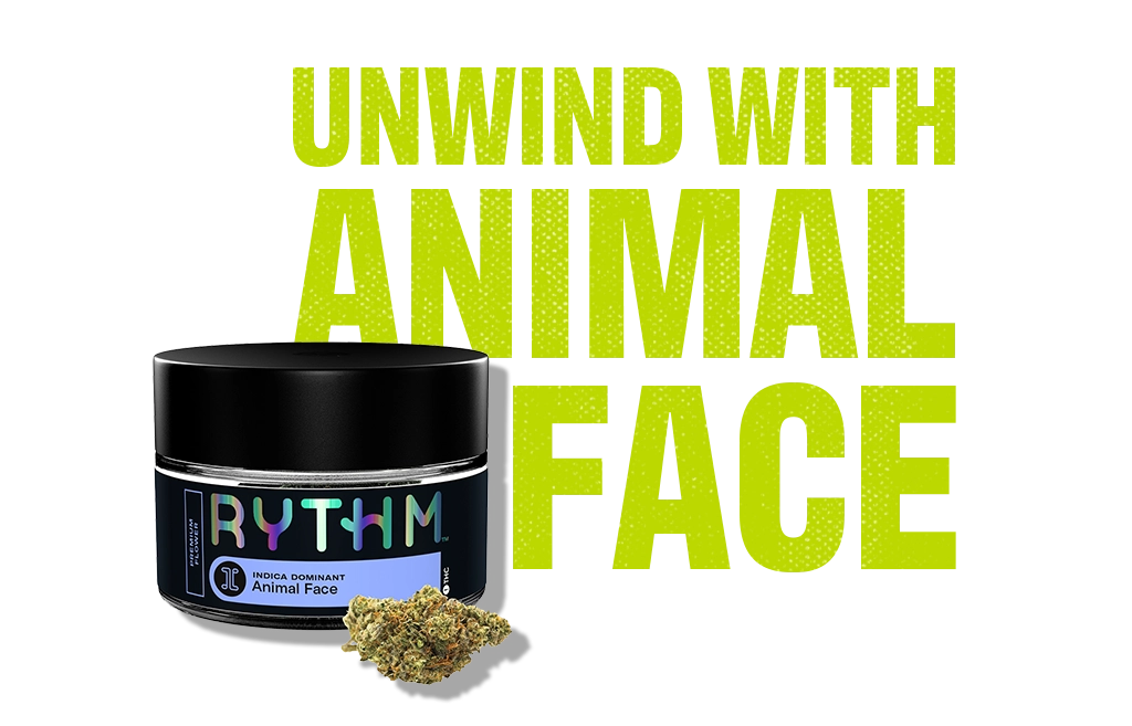 Top Strains of 2025_Animal Face_C-11-VariantB-Desktop_V001 (1).webp