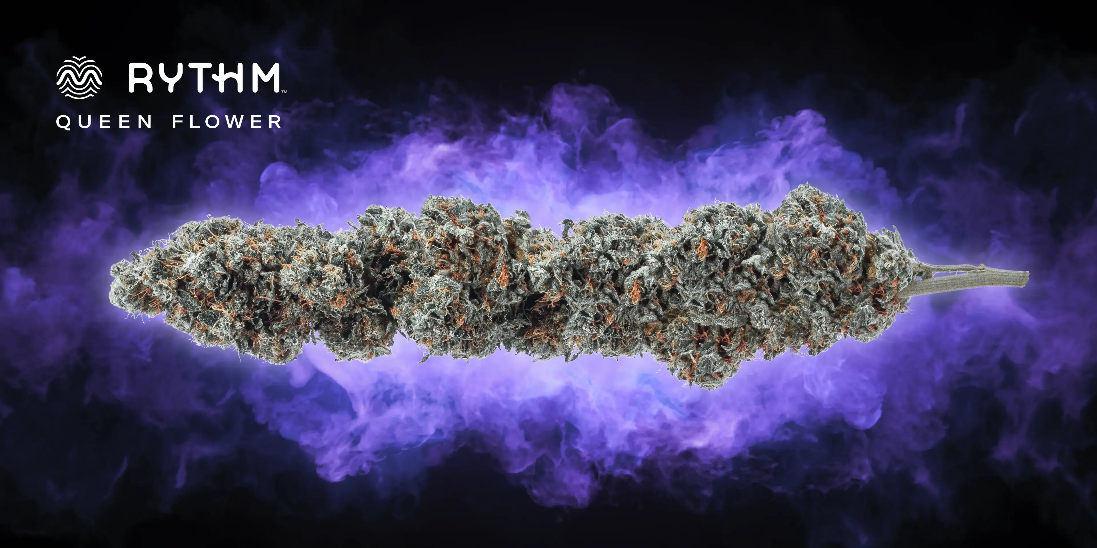 RYT-QC-Evergreen-PA-RI-HPH-3840x1920