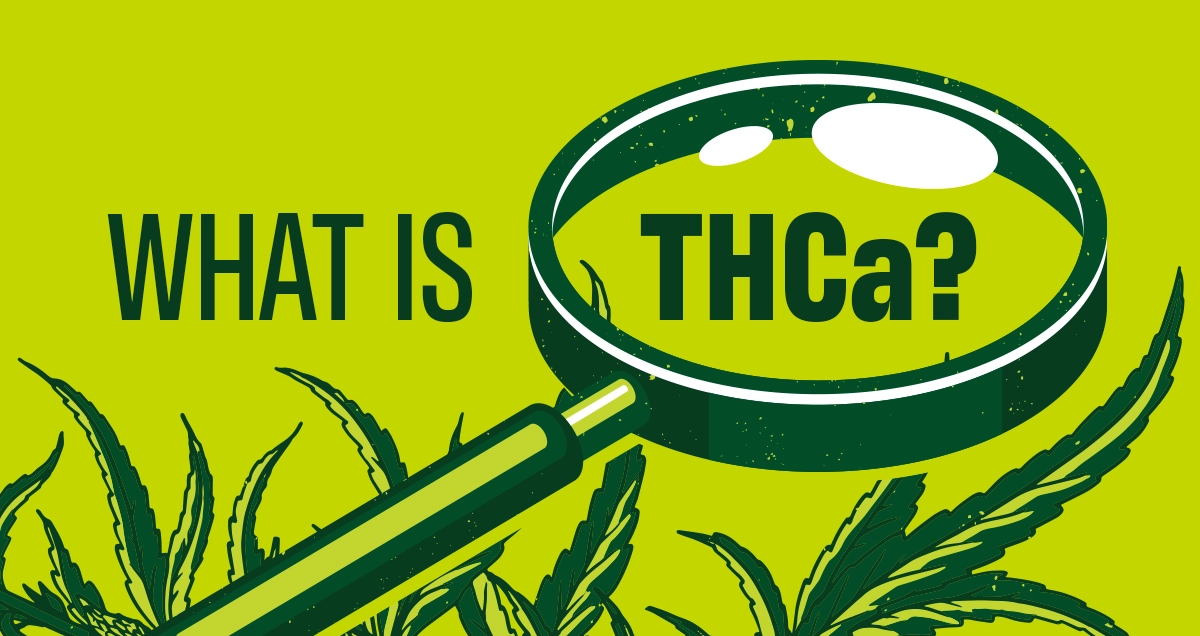 What is THCa? 