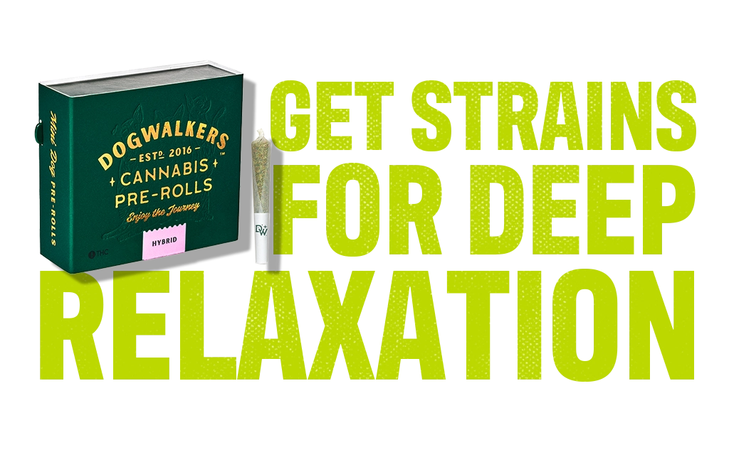 Cannabis and Your Mood_Calm and Relaxed_C-11-VariantB-Desktop_V001.webp